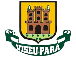 LogoPrefeitura de Viseu